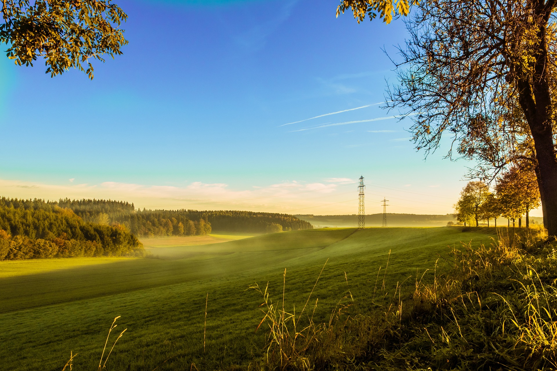 Southeast Land For Sale